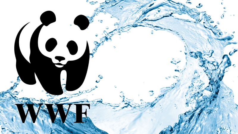 Wwf Logo 1986&ndash;2000 Edited